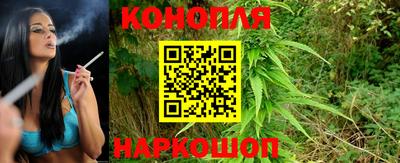 jwh Будённовск