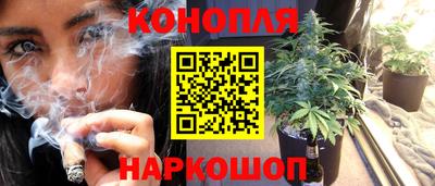 jwh Будённовск